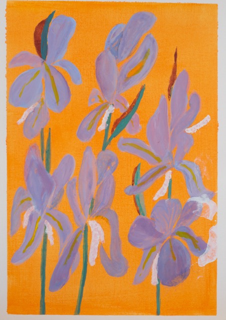 Irises