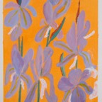Irises