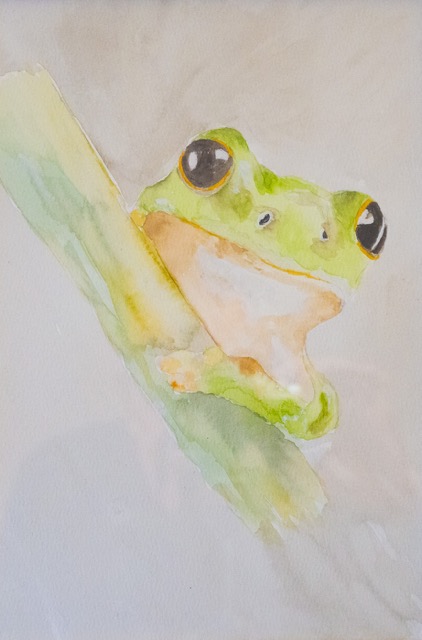 Frog