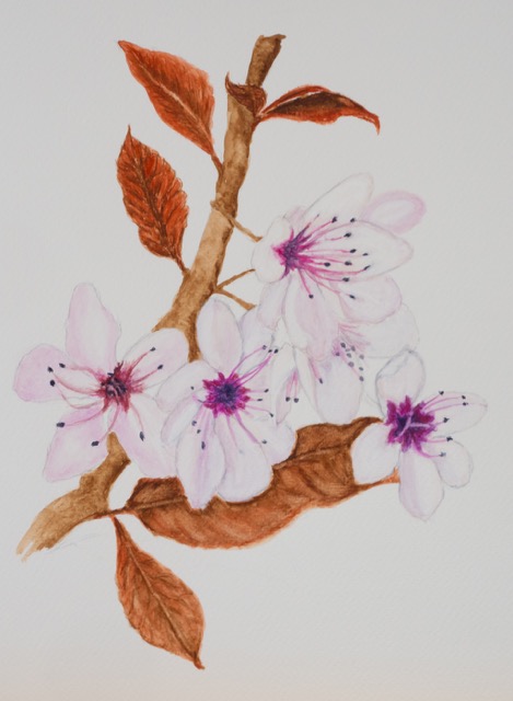Blossom