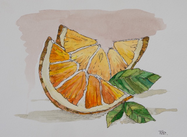 Citrus fruit