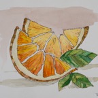 Citrus fruit